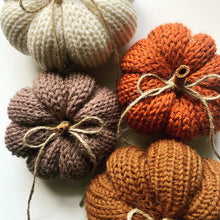 Load image into Gallery viewer, Pre-Order Knit Pumpkins.