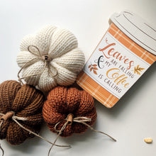Load image into Gallery viewer, Pre-Order Knit Pumpkins.