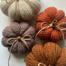 Load image into Gallery viewer, Pre-Order Knit Pumpkins.