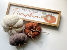 Load image into Gallery viewer, Pre-Order Knit Pumpkins.