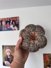 Load image into Gallery viewer, Gilmore Girls Inspired Pumpkins
