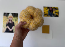 Load image into Gallery viewer, Gilmore Girls Inspired Pumpkins